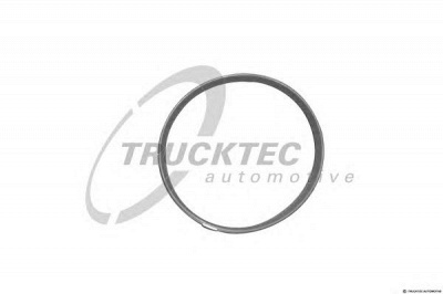 TRUCKTEC AUTOMOTIVE 0813001 -  Прокладка, корпус впускного коллектора